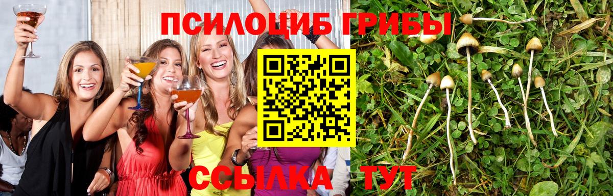 Бахчисарай  Галлюциногенные грибы Psilocybine cubensis  как найти закладки  Псилоцибиновые грибы ЛСД  Вход с VPN 