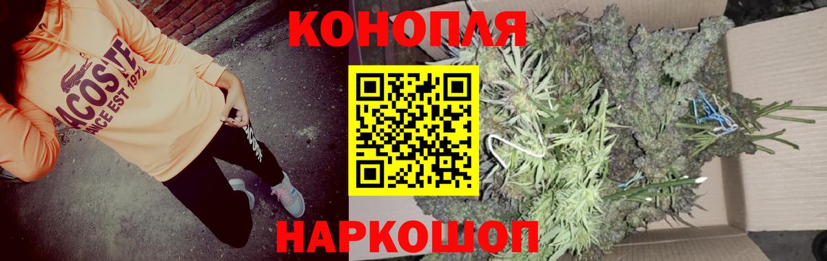 Бахчисарай  Канабис ГИДРОПОН  Каннабис ГИДРОПОН  Вход с VPN  Конопля Ganja  Шишки марихуана SATIVA & INDICA 